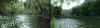 Crysis - 10